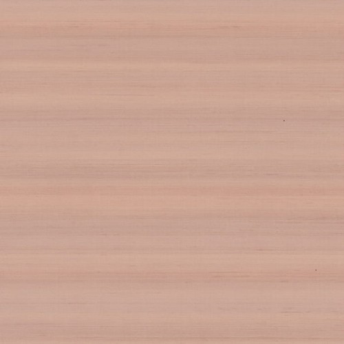 74172355.jpg