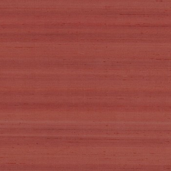 74172257.jpg