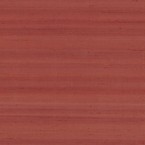 74172257.jpg