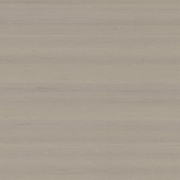 74171081.jpg