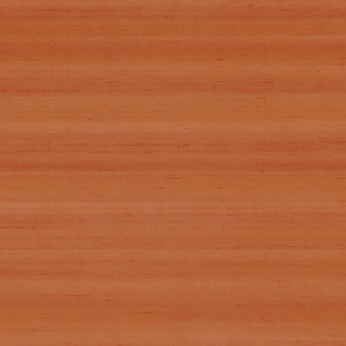 74172061.jpg