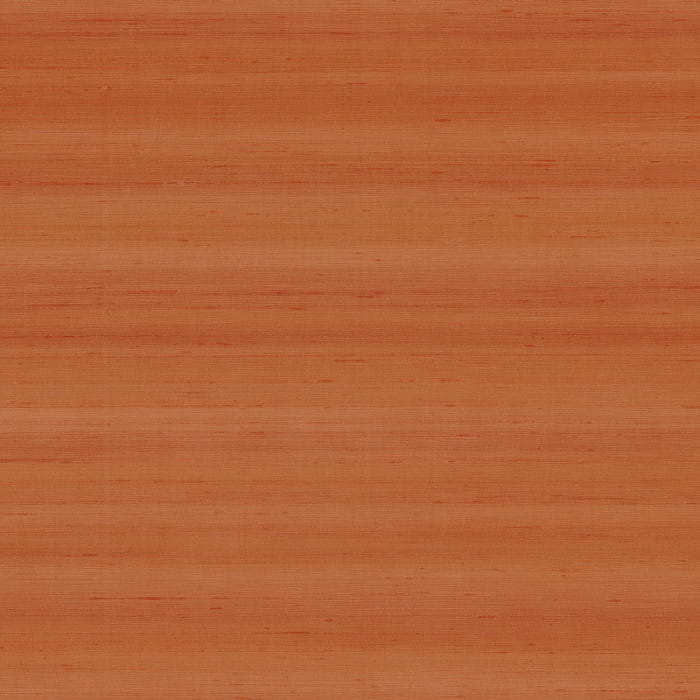 74172061.jpg