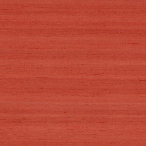 74172551.jpg