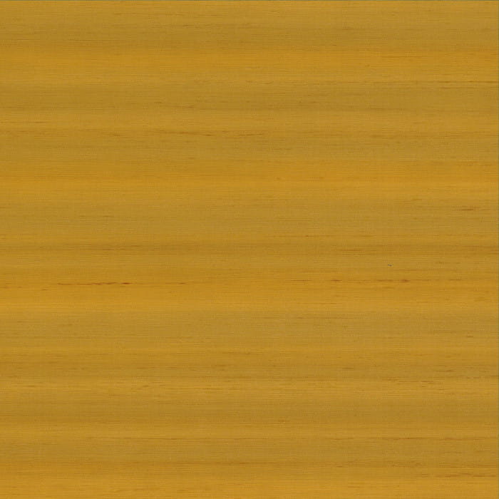 74173237.jpg