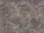 c07bce55bbb72fe5ce3a85419f7f0fb7