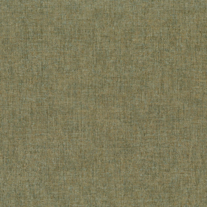75152038.jpg
