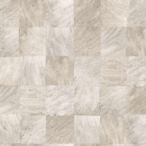 abale-perle-75172960.jpg