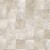 abale-perle-75172960.jpg