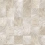abale-perle-75172960.jpg