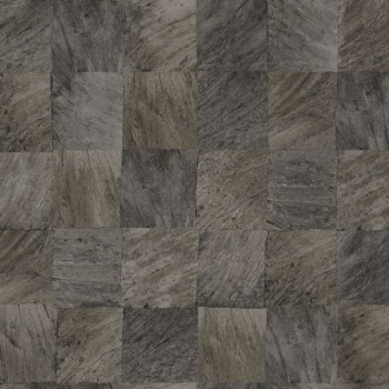 abale-noir-75173470.jpg