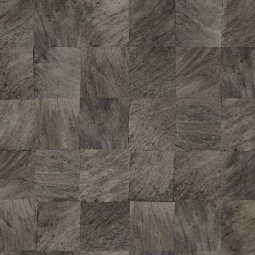 abale-noir-75173470.jpg