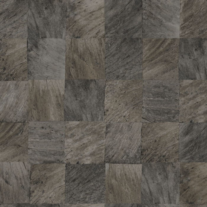 abale-noir-75173470.jpg