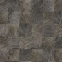 abale-noir-75173470.jpg