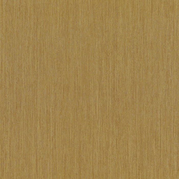 74854588.jpg