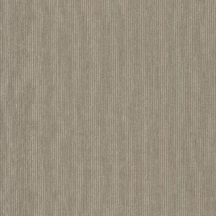 74200436.jpg