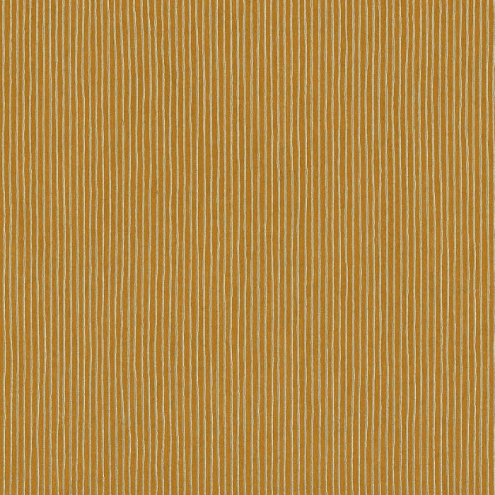 74203080.jpg