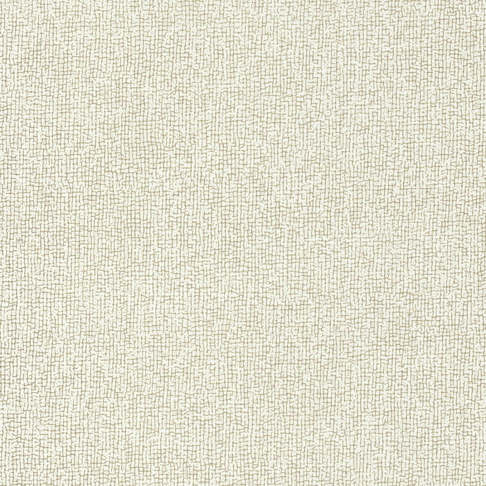74210252.jpg