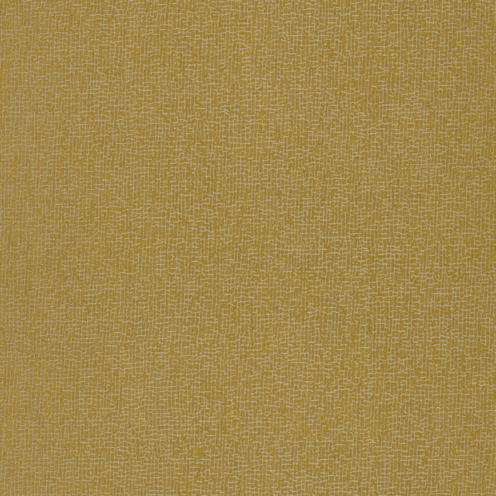 74210558.jpg