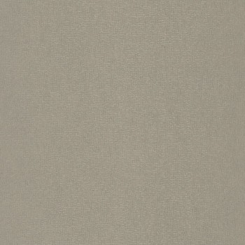 74210456.jpg