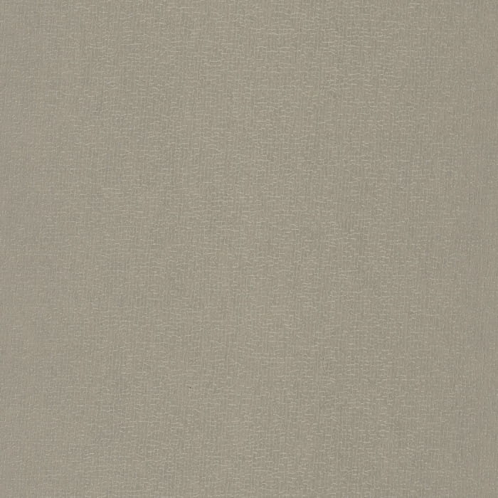 74210456.jpg