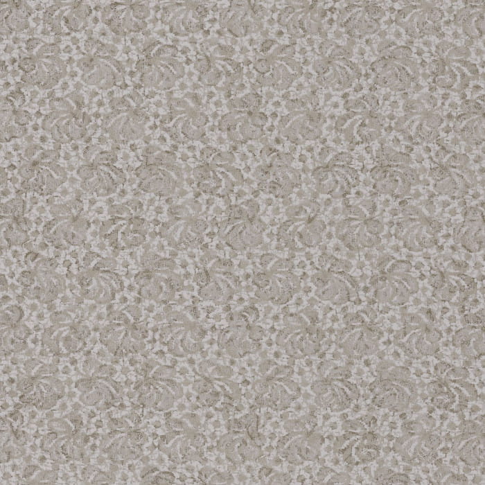 74240135.jpg