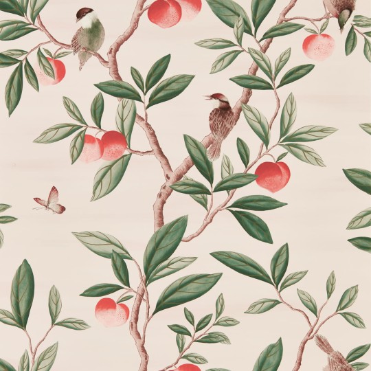 Harlequin 112907 Diane Hill Ella POWDER/SAGE/PEACH - tapeta z motywem drzewa brzoskwini