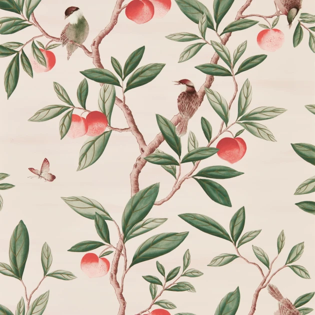 Harlequin 112907 Diane Hill Ella POWDER/SAGE/PEACH - tapeta z motywem drzewa brzoskwini