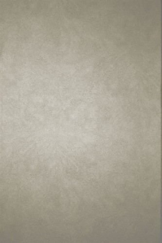 21f156e17dc1ddfde15b1370b045ef6c