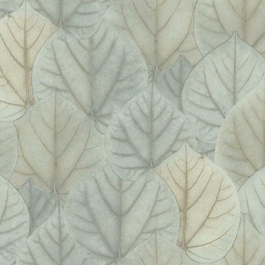 York OS4244 Candice Olson Modern Nature 2 Leaf Concreto - tapeta z motywem liści