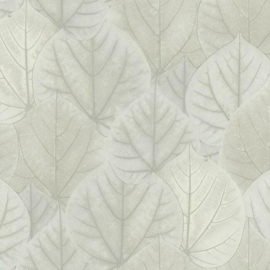 York OS4246 Candice Olson Modern Nature 2 Leaf Concreto - tapeta z motywem liści