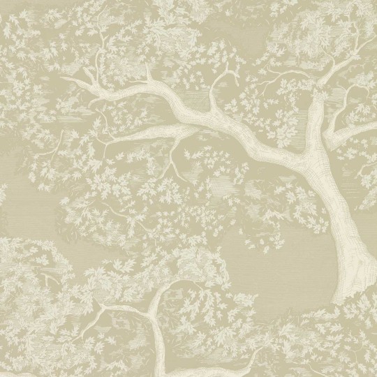 Harlequin 113022 Colour 4 Eternal Oak Incense/Pearl - tapeta z motywem drzew dębu