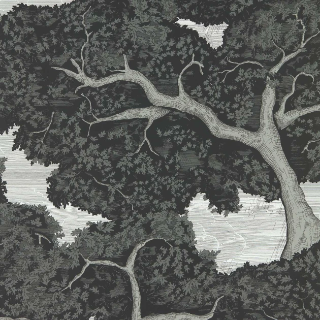 Harlequin 113040 Colour 4 Eternal Oak Ebony/First Light - tapeta z motywem drzew dębu