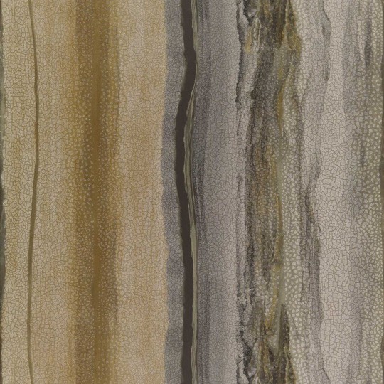 Harlequin 112065 Colour 4 Vitruvius Gold/Basalt - tapeta z motywem falowych linii