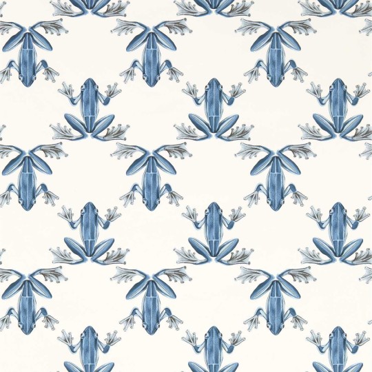 Harlequin 113012 Colour 4 Wood Frog Wild Water/Chalk - tapeta z motywem żab