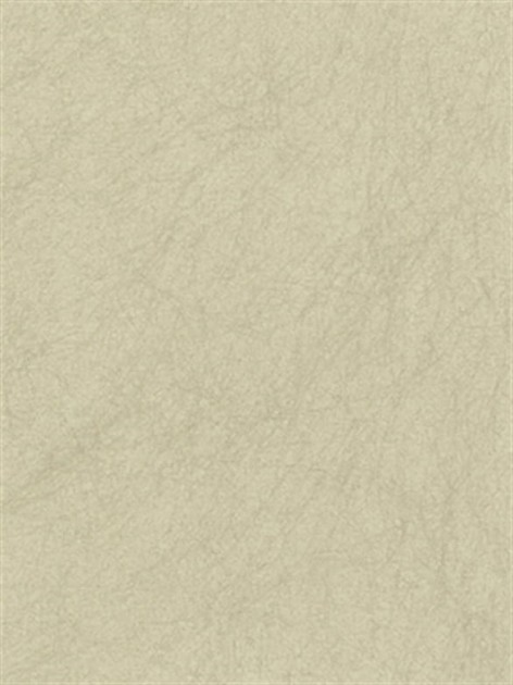 Tapeta Osborne And Little - Wallpaper Album 6 - CW5410 - 28