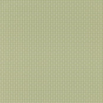 100007303.jpg