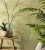 jun-paradise-zoom5.jpg