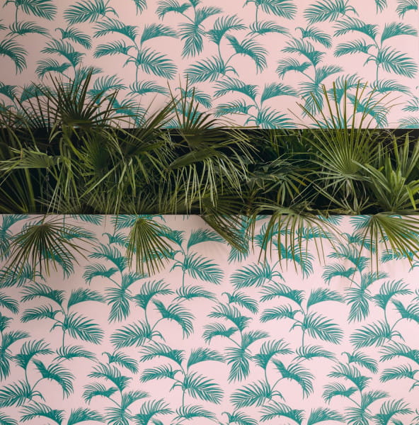 Caselio 100033613 Jungle Palmes - tapeta z motywem liści palm