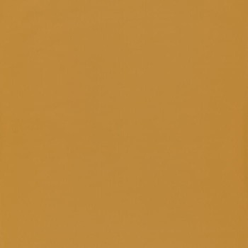 69863210.jpg