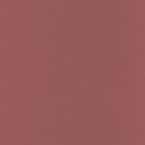 64524250.jpg