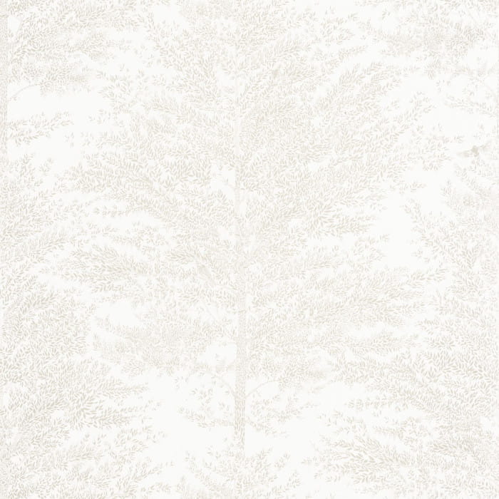 101800021.jpg