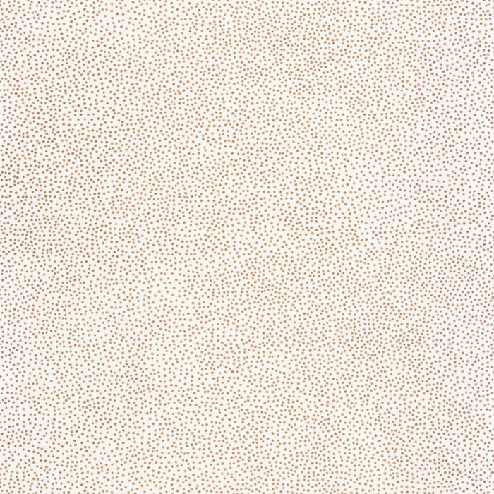101730020.jpg