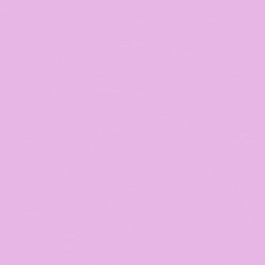 Tapety Lily Rose 21185112