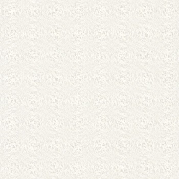 100400011.jpg