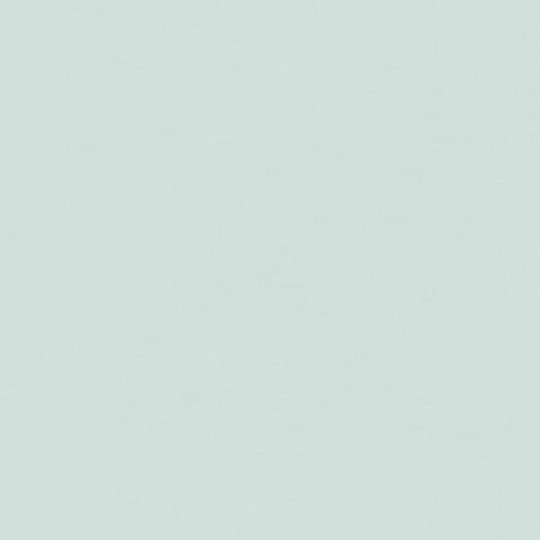 Tapety Lily Rose 21186111