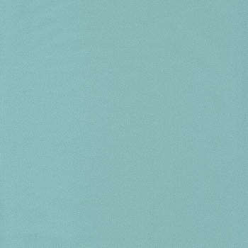 100407018.jpg