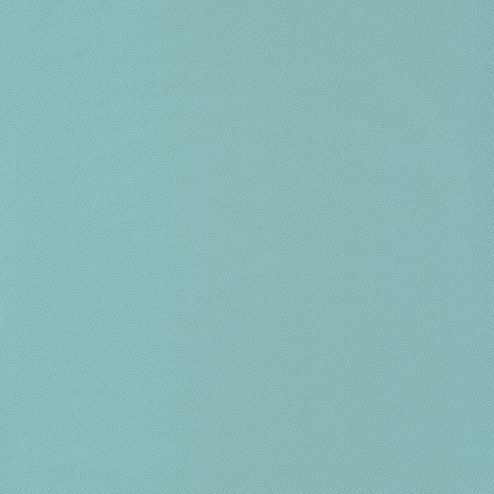 100407018.jpg