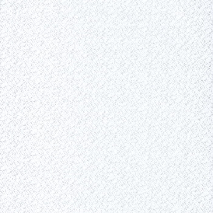 100400101.jpg