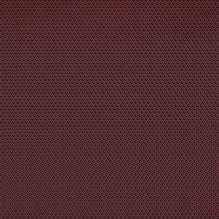73650459.jpg