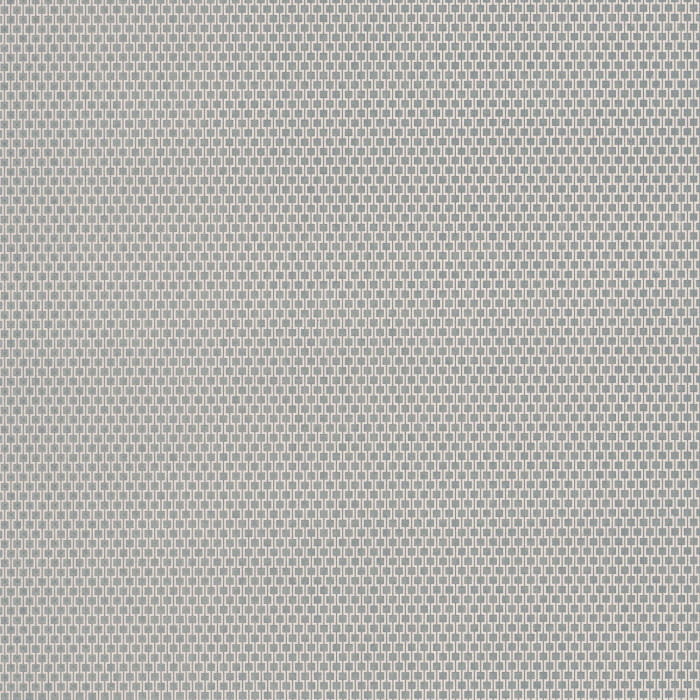 73650255.jpg